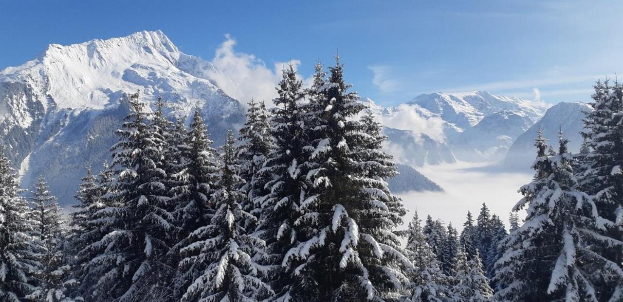 Les Glieres - Champagny-En-Vanoise La Plagne Bagian luar foto